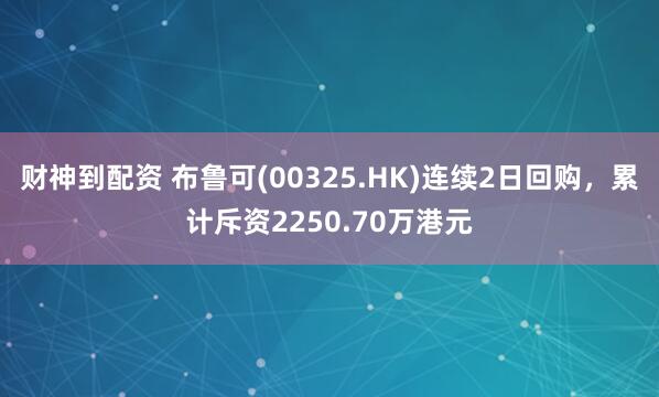 财神到配资 布鲁可(00325.HK)连续2日回购，累计斥资2250.70万港元